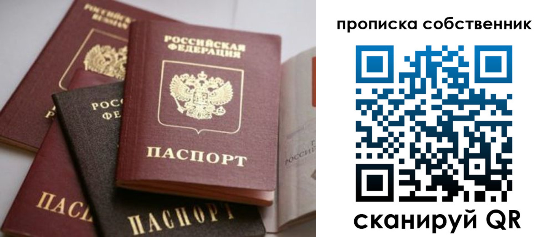прописка для школы в Электрогорске